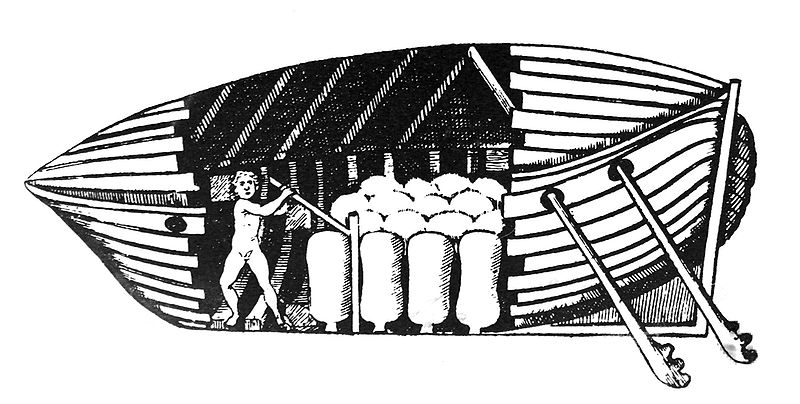 Giobanni Borelli