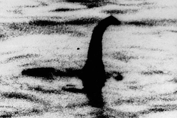 Sea Monsters