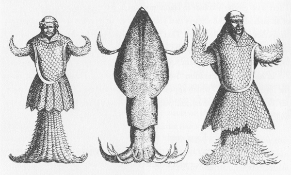 Sea Monk