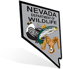 Official Nevada Hunter Safety Course HUNTERcourse com Official Nevada Hunter Safety Course HUNTERcourse com