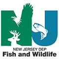 New Jersey Division of Fish & Wildlife